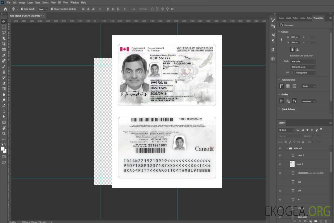 Carte d'identité canadienne de statut d'Indien template Carte d'identité canadienne de statut d'Indien template